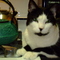 alightningbug