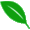LeafJoy