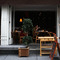 Sanctuary T