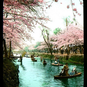 Macha Teahouse