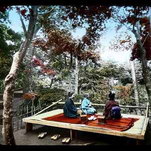 Macha Teahouse