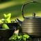 Saatea Yoga Tea Garden