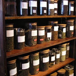Staufs Coffee Roasters