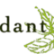 Verdant Tea - online