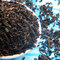 Neem Nectar from Teatulia Teas