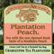 Plantation Peach from Charleston Tea Plantation