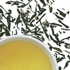 Sencha from Peet's Coffee & Tea