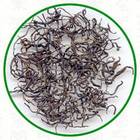 Qi Hong Mao Feng from Dobra Tea
