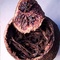 Kumquat Pu-erh from In Pursuit of Tea