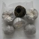 Mini Green Tuocha Rice Scented from PuerhShop.com