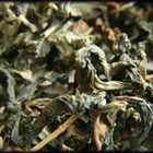 Coconut Pouchong from Tea Chai Te