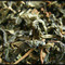 Coconut Pouchong from Tea Chai Te
