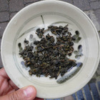 1989 Winter Jia Yi County High Altitude Tea Competition (2nd) from The Essence of Tea