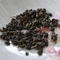 2009 Spring Muzha Tie Guan Yin 50g from The Essence of Tea