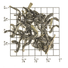 Chun Mee (Moon Palace) from Upton Tea Imports