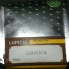 Exotica from Lupicia