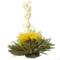 Falling Water from Teaposy
