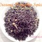 Creamy Pumpkin Spice from iHeartTeas