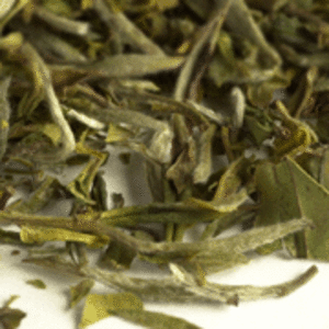 Fuding White Treasure Organic ZW85 from Upton Tea Imports