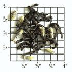 Lavender Earl Grey (TE12) from Upton Tea Imports