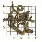 China Pu-Erh Classic from Upton Tea Imports