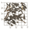 China Organic Keemun - ZK20 from Upton Tea Imports