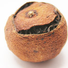 Wild Orange Pu-erh from Chicago Tea Garden