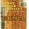 Lemon Ginger Echinacea from Bija