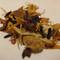Caribbean Dream from The Jade Teapot