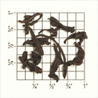 Camraj Estate FOP (TN60) Nilgiri from Upton Tea Imports