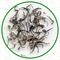 Mao Jian from Dobra Tea