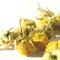 Camomile from Leaf