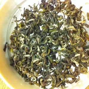 Jun Chiyabari Himalayan Evergreen from SafaHimalaya