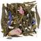 L'Oriental from Dammann Freres