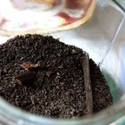 Vanilla Basic Black from joie de tea