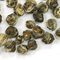 Jasmine #12 from Adagio Teas