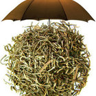Ceylon Single Estate from Stir Tea
