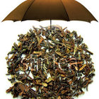 Darjeeling from Stir Tea