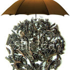 Lapsang Souchong from Stir Tea