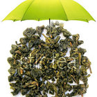 Jade Oolong from Stir Tea
