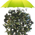 Iron Goddess of Mercy from Stir Tea