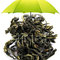 Full Moon Oolong from Stir Tea