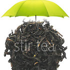 Premier Water Fairy Oolong from Stir Tea