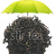 Premier Water Fairy Oolong from Stir Tea