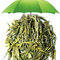 Dragonwell Longjing from Stir Tea