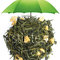 Green Tea Apple from Stir Tea