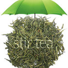 Japanese Sencha Special from Stir Tea