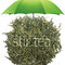 Japanese Sencha Special from Stir Tea