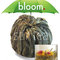 Flowering Tea - Double Happiness from Stir Tea