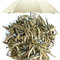 Jasmine Silver Needle from Stir Tea